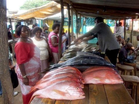 Local fish market near the Marginal in Maputo
